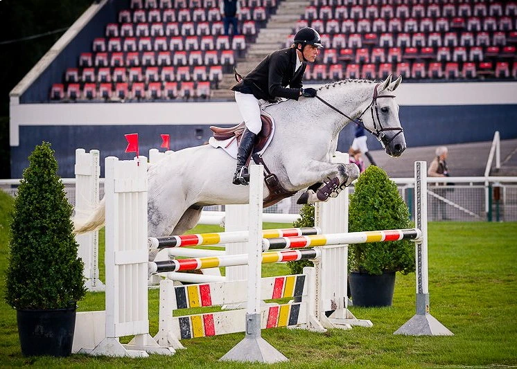 Een springpaard van Stal Viktory tijdens een jumpingwedstrijd.